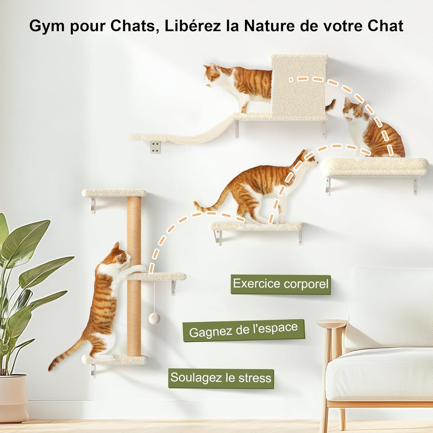 Arbre à chat Mural 10 pièces