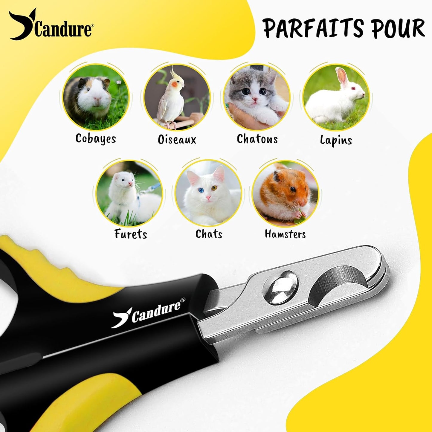 Coupe Griffes Chat