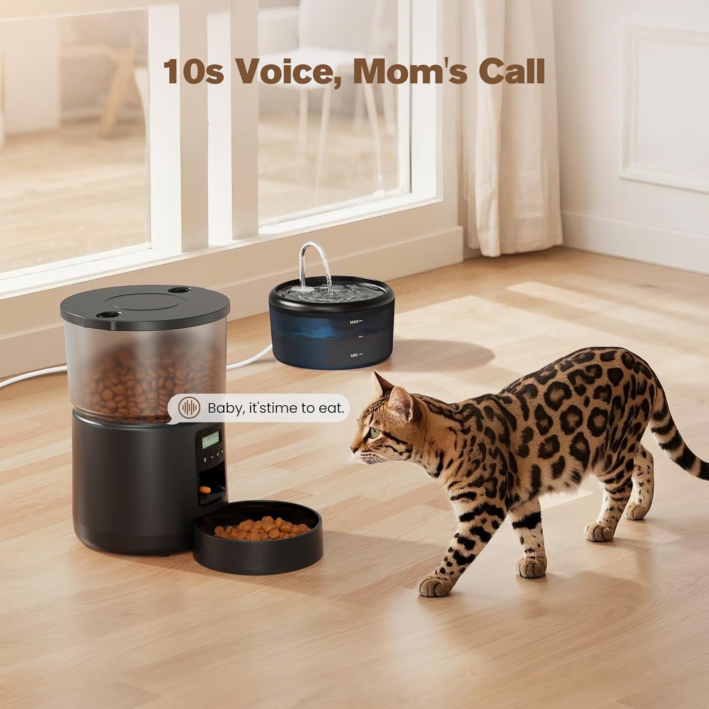 Distributeur Croquettes Chat 2,4L