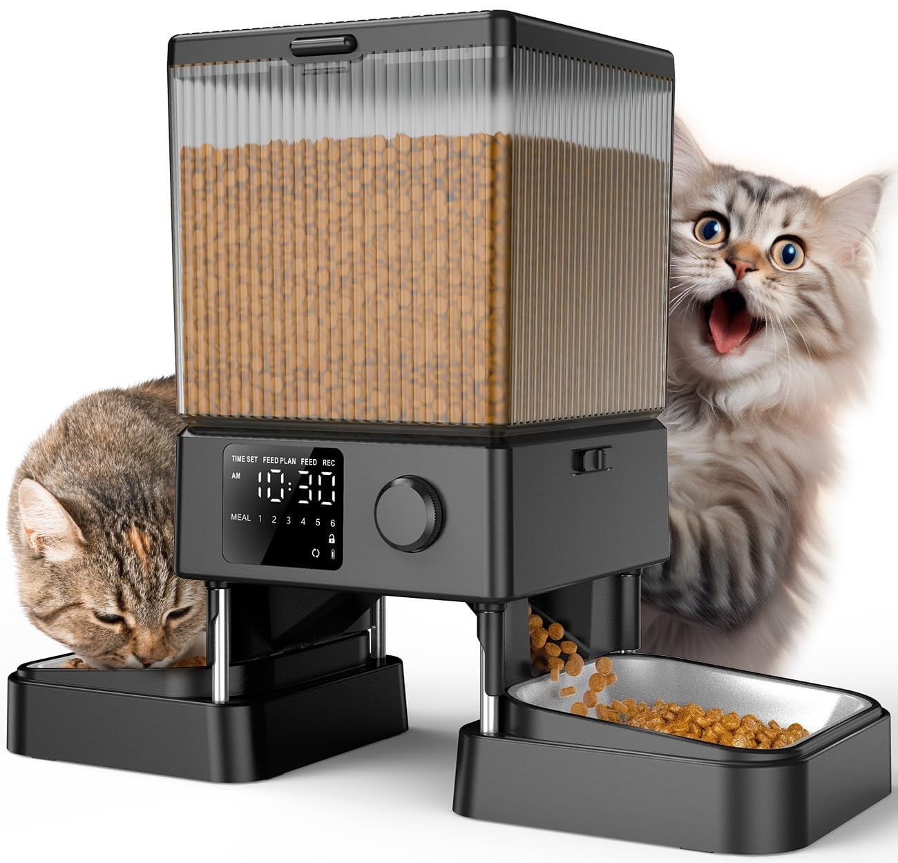 Distributeur Croquettes Chat 5L