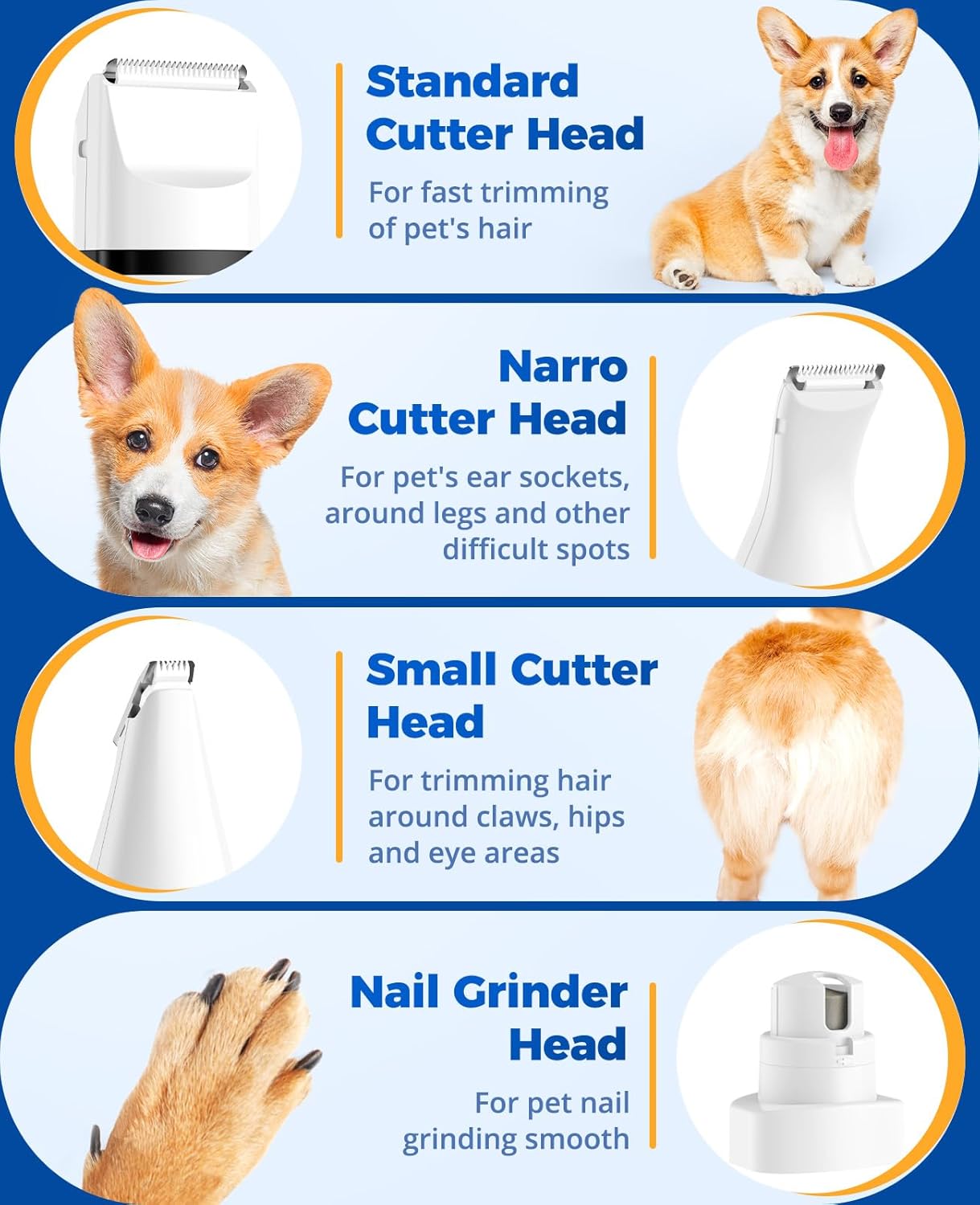 Toilettage chat Tondeuse