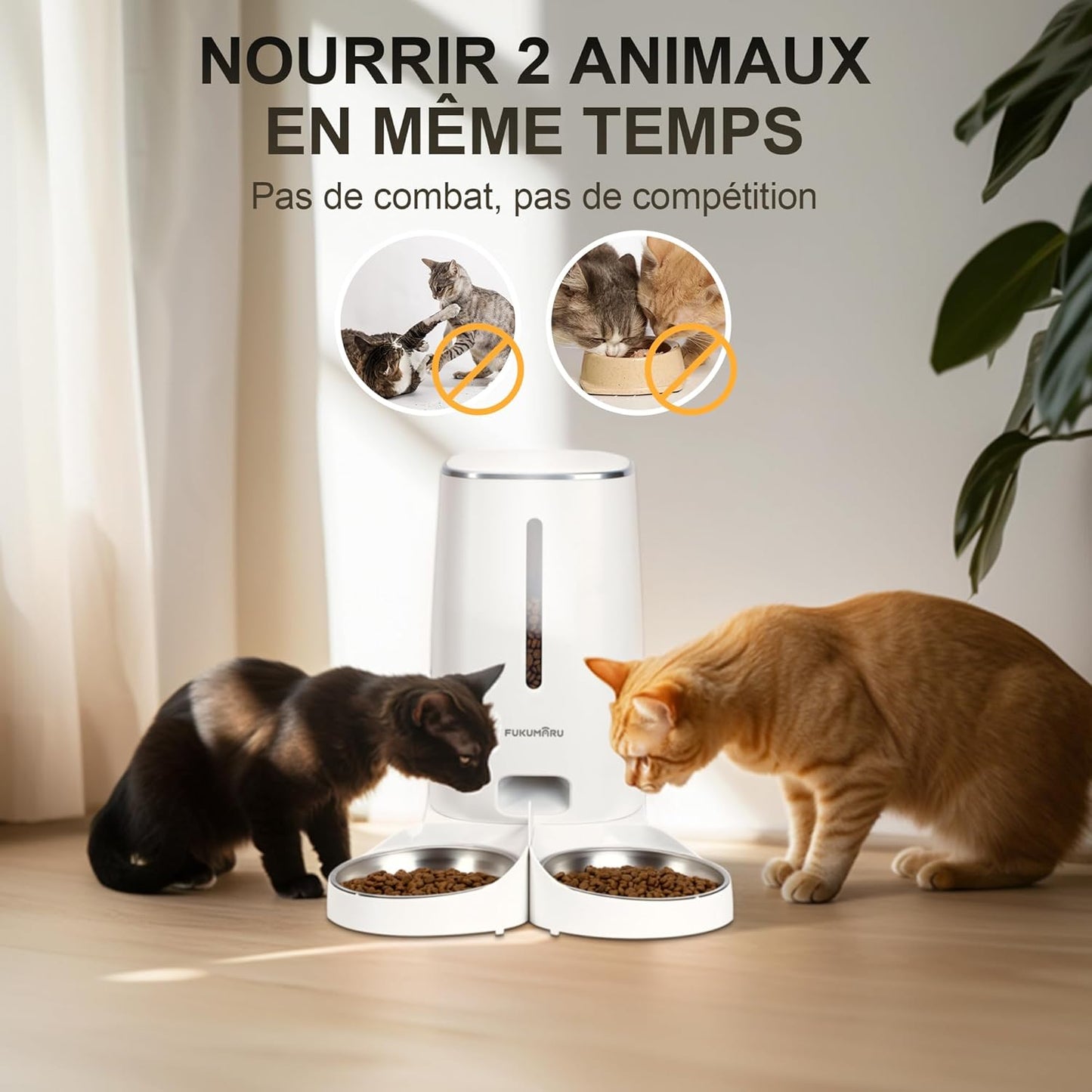 Distributeur Croquettes Chat 4L