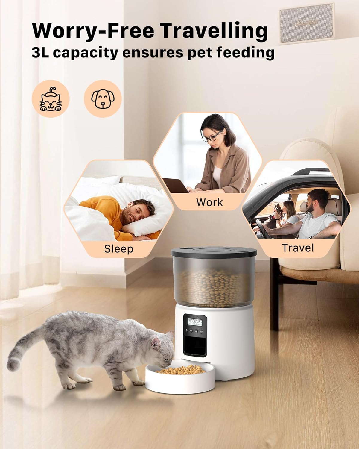 Distributeur Croquettes Chat 3L