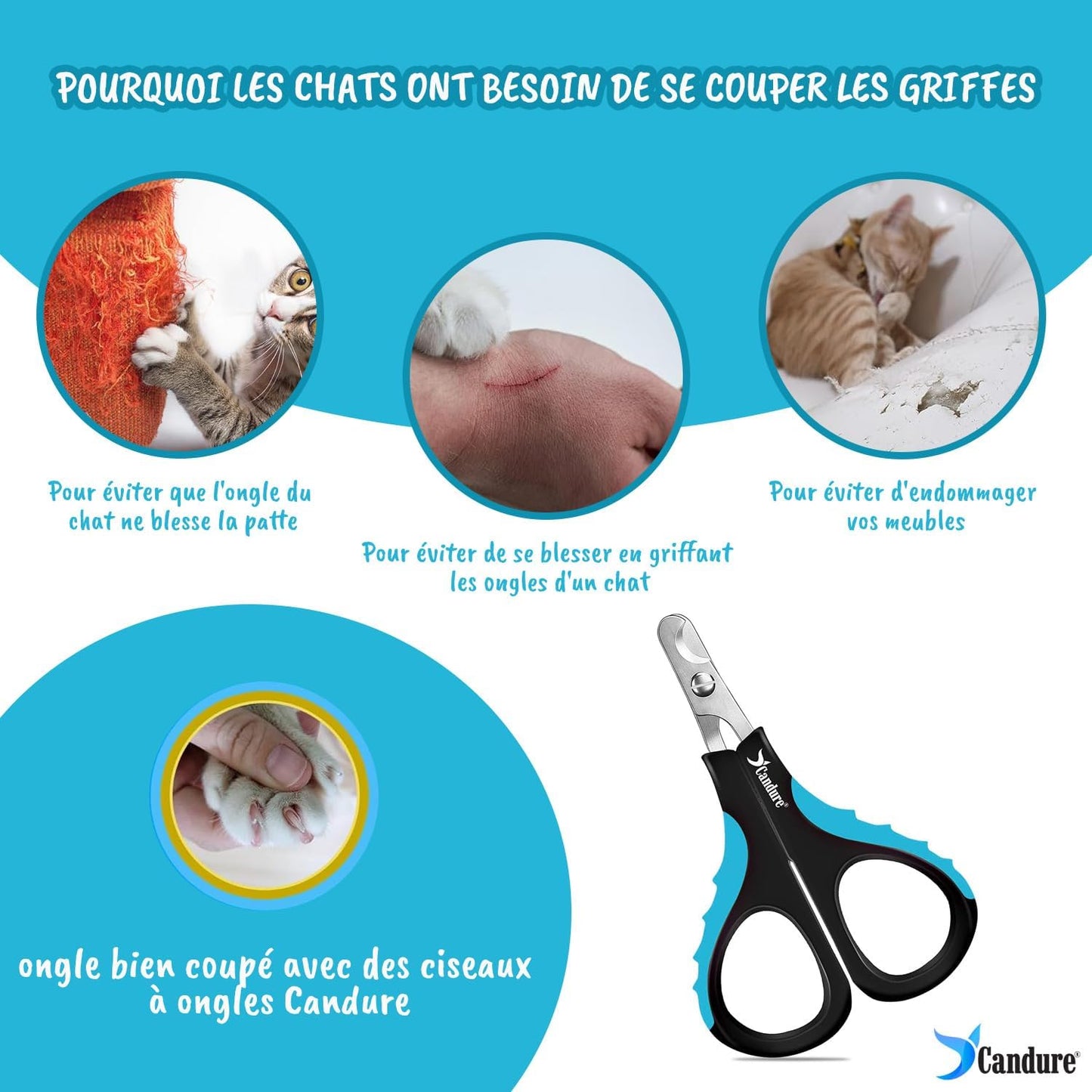 Coupe Griffes Chat
