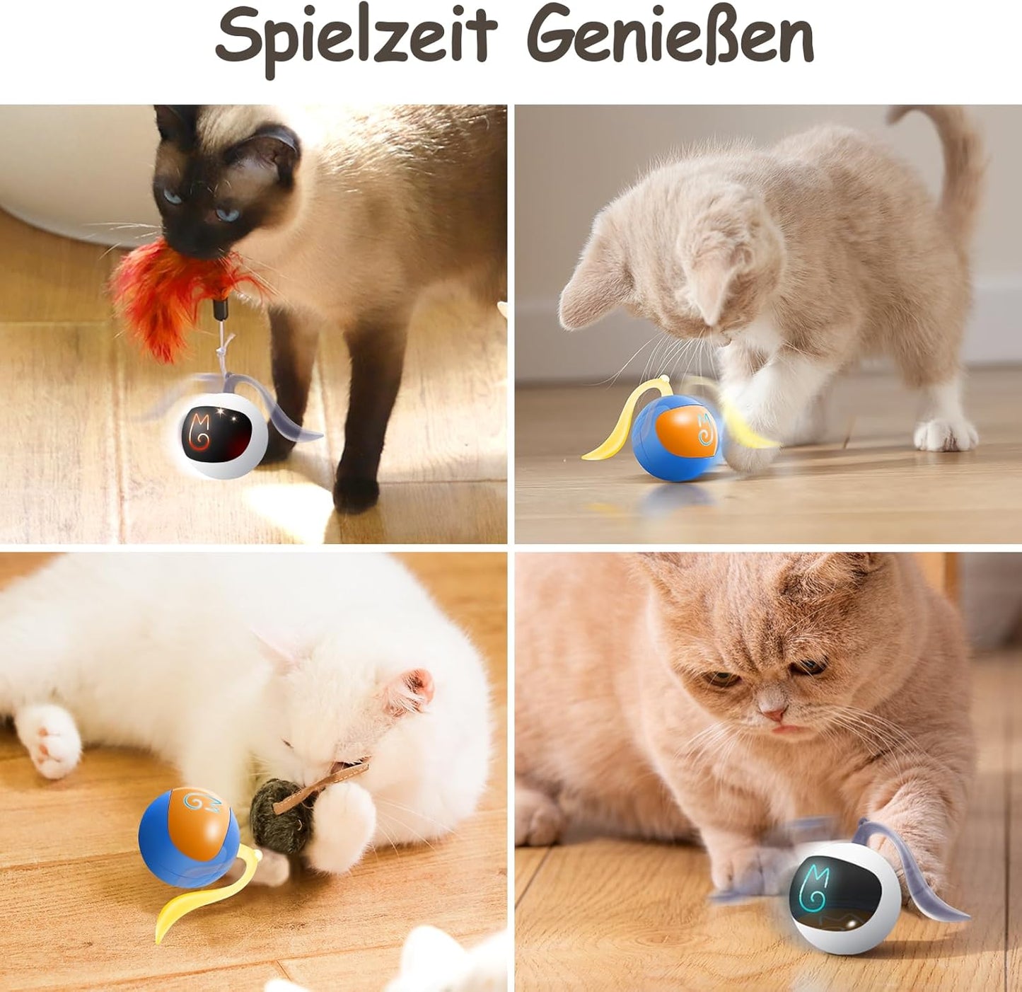 Jouet pour Chat Traqueur