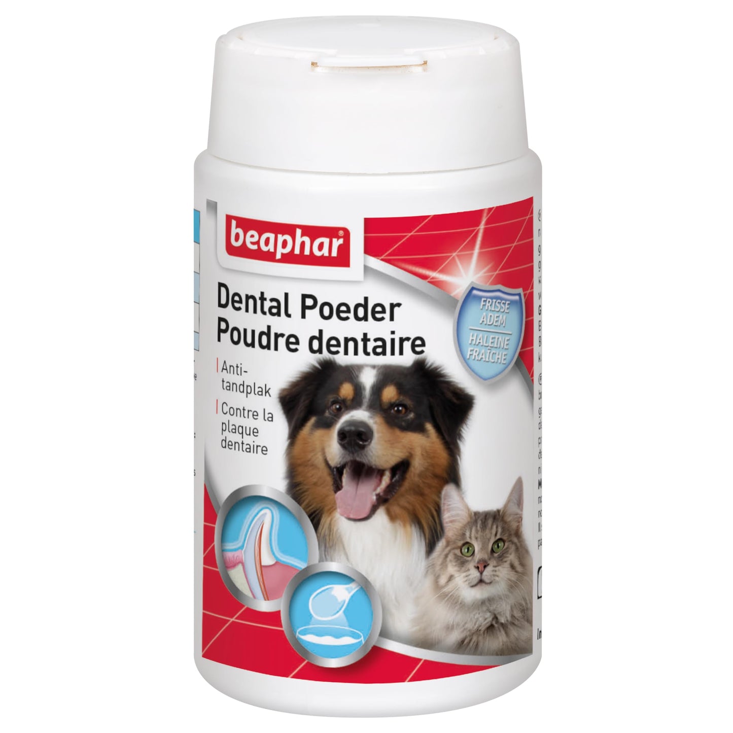Brosse à pour dents - Poudre Dentaire