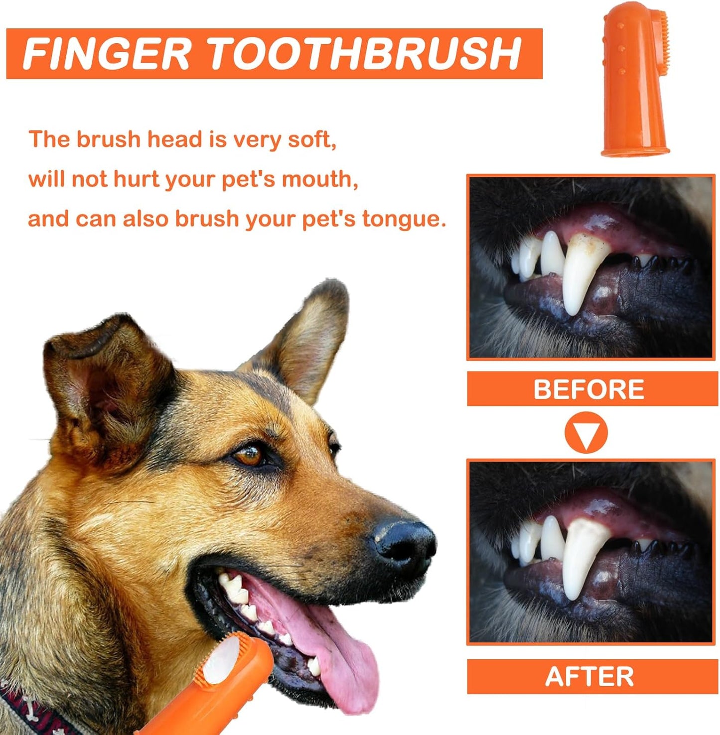Brosse à Dents Et Dentifrice