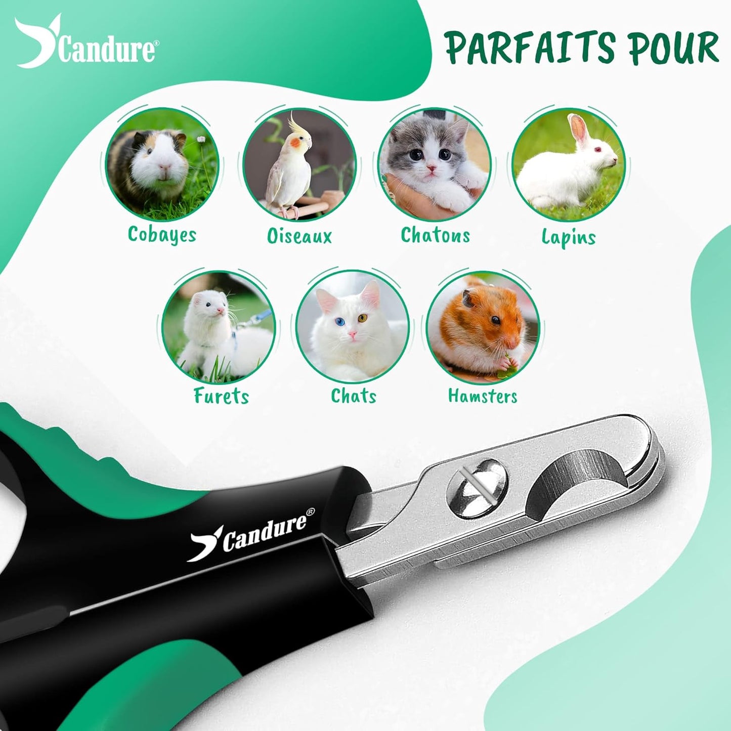 Coupe Griffes Chat