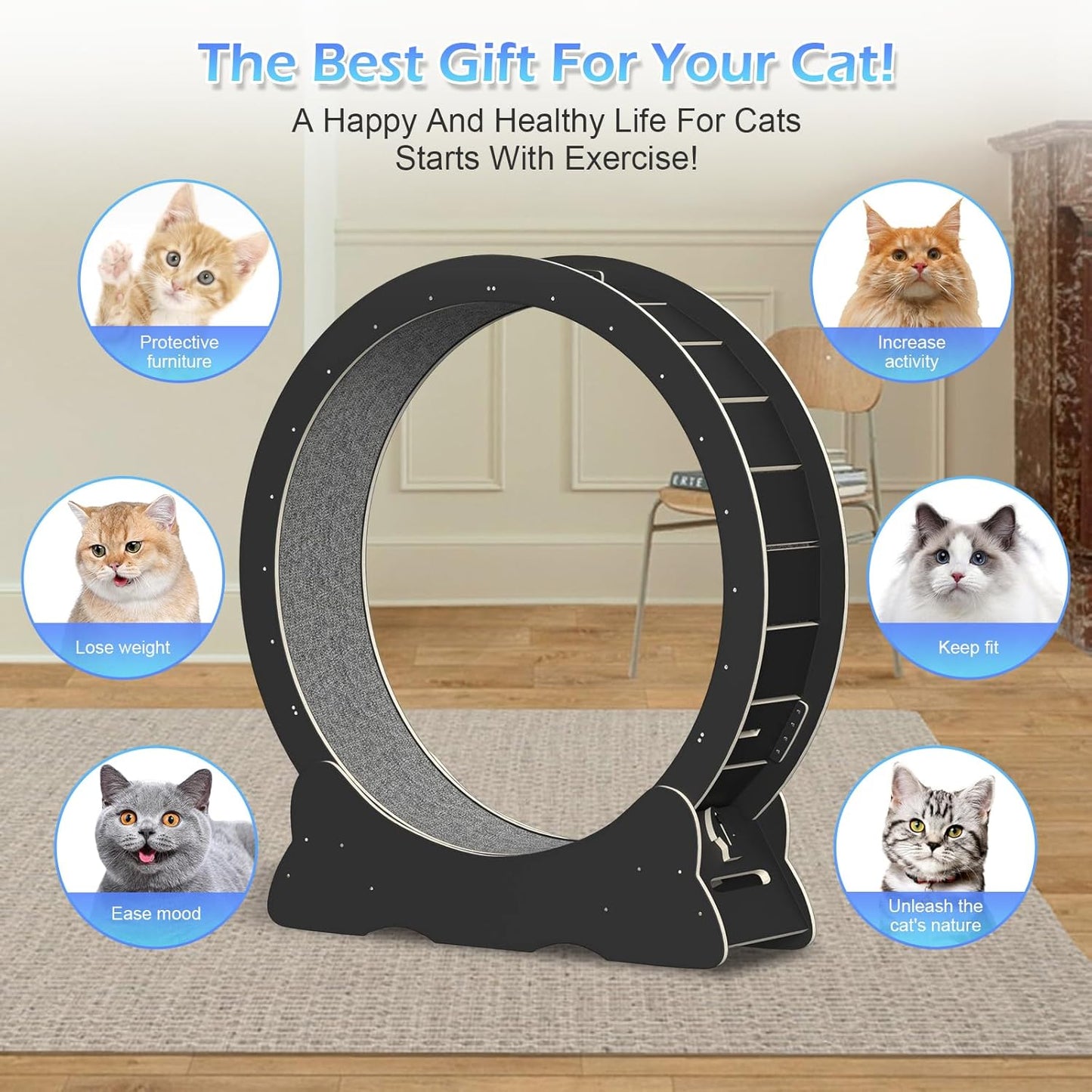Roue pour Chat 110cm
