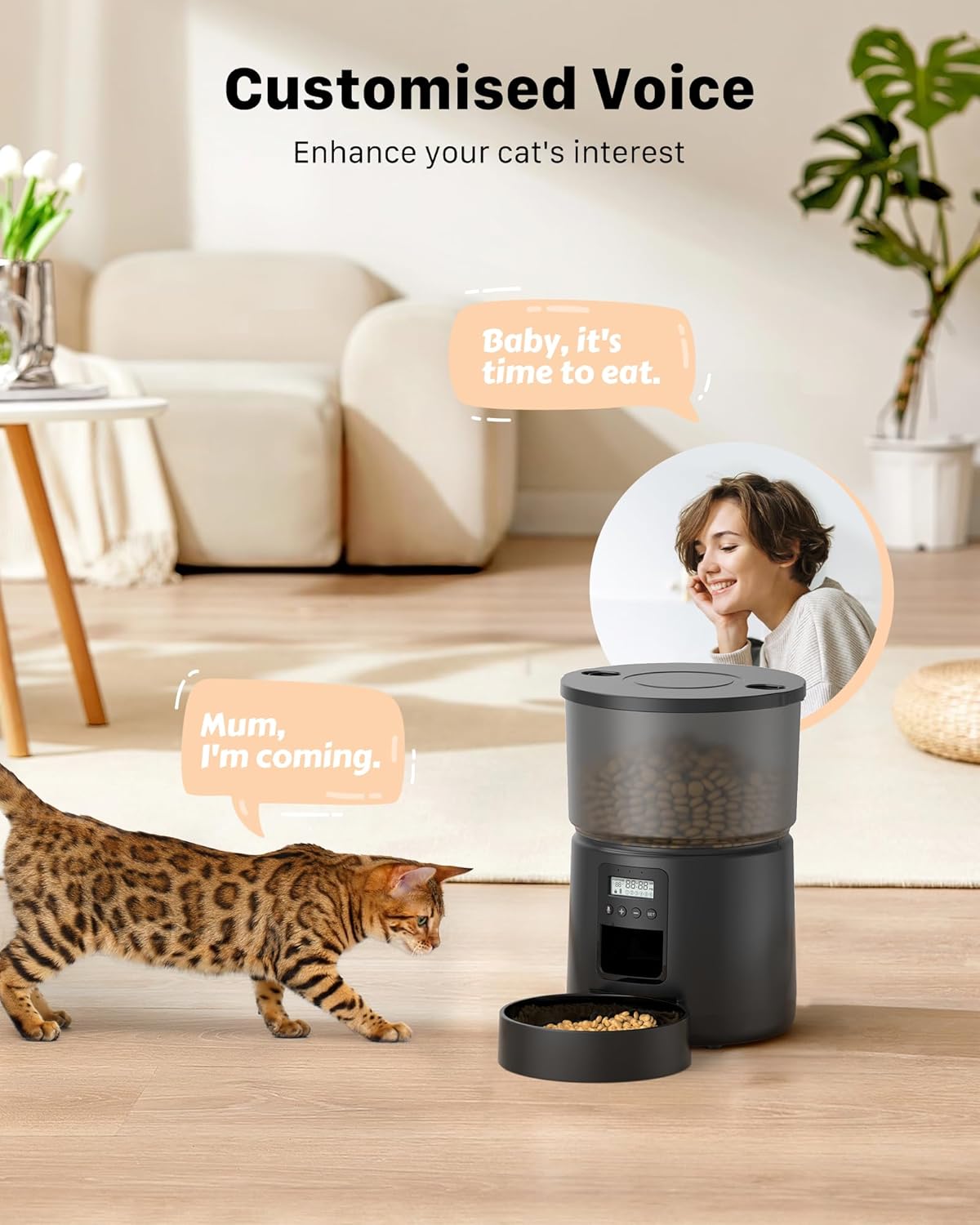 Distributeur Croquettes Chat 3L connecté