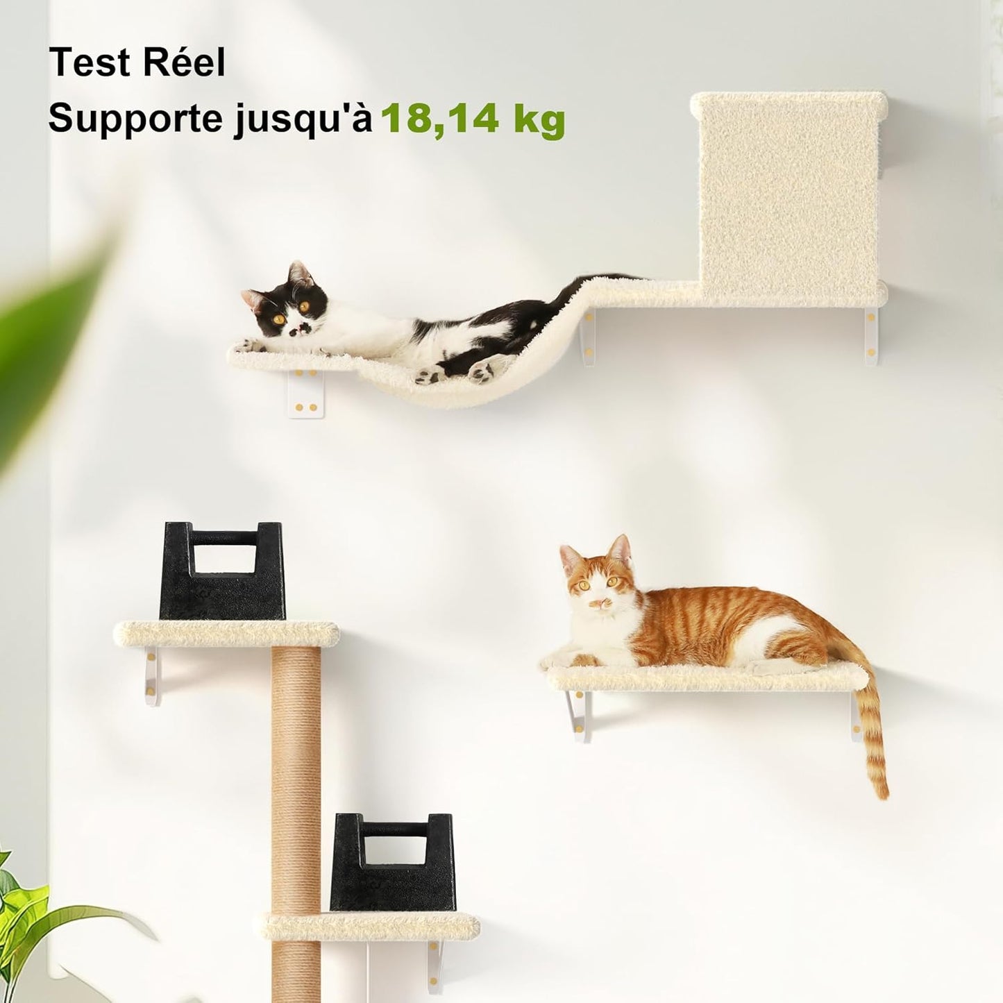Arbre à chat Mural 10 pièces