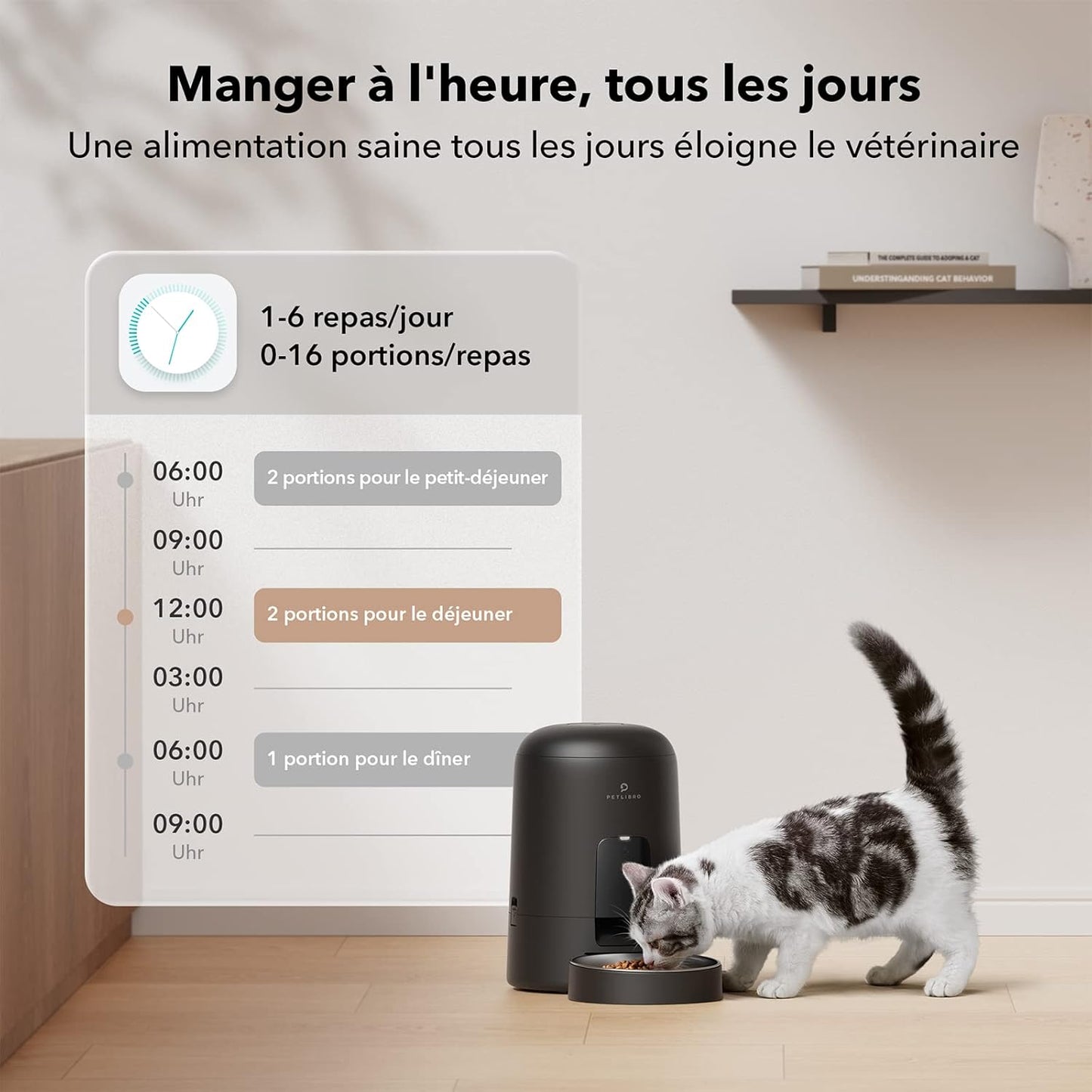 Distributeur Croquettes Chat 1-6 Repas