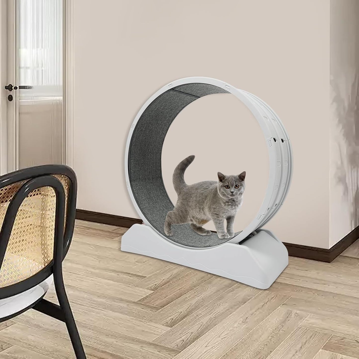 Roue pour Chat avec système de blocage