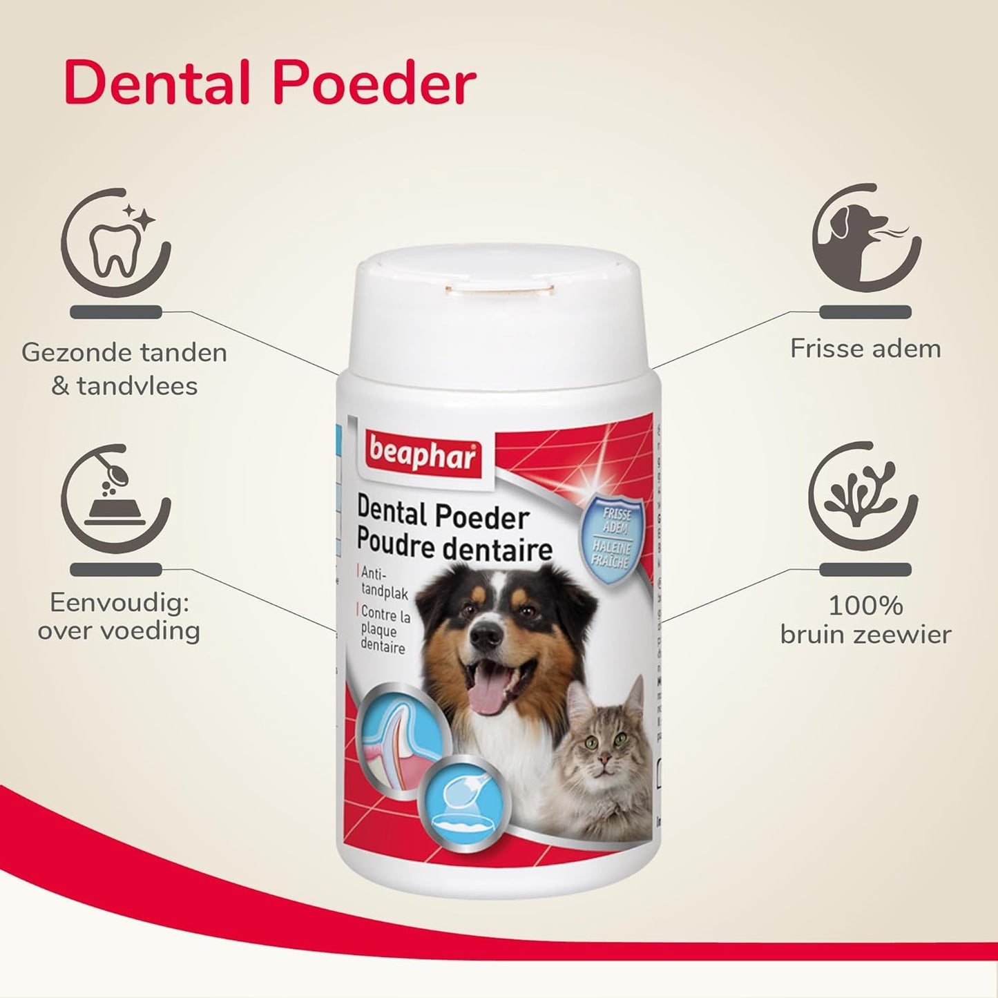 Brosse à pour dents - Poudre Dentaire