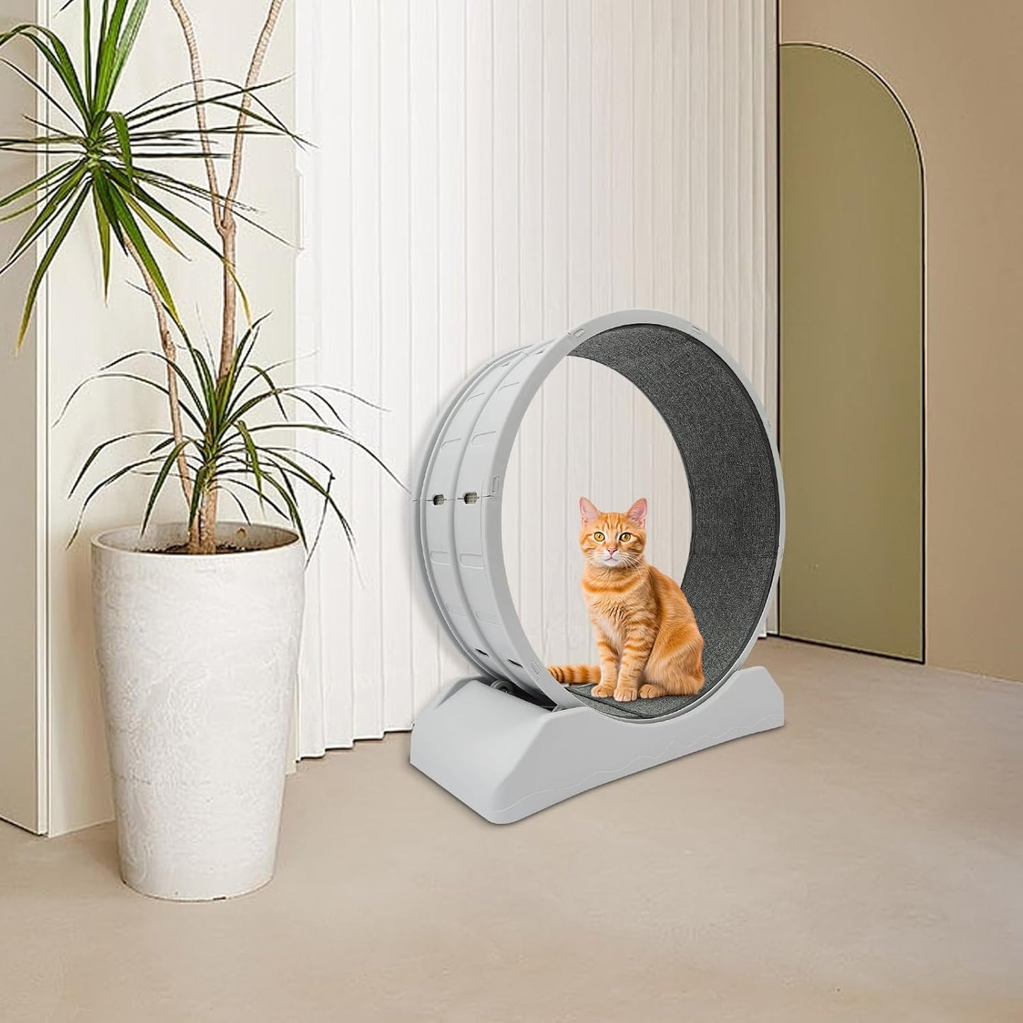 Roue pour Chat avec système de blocage