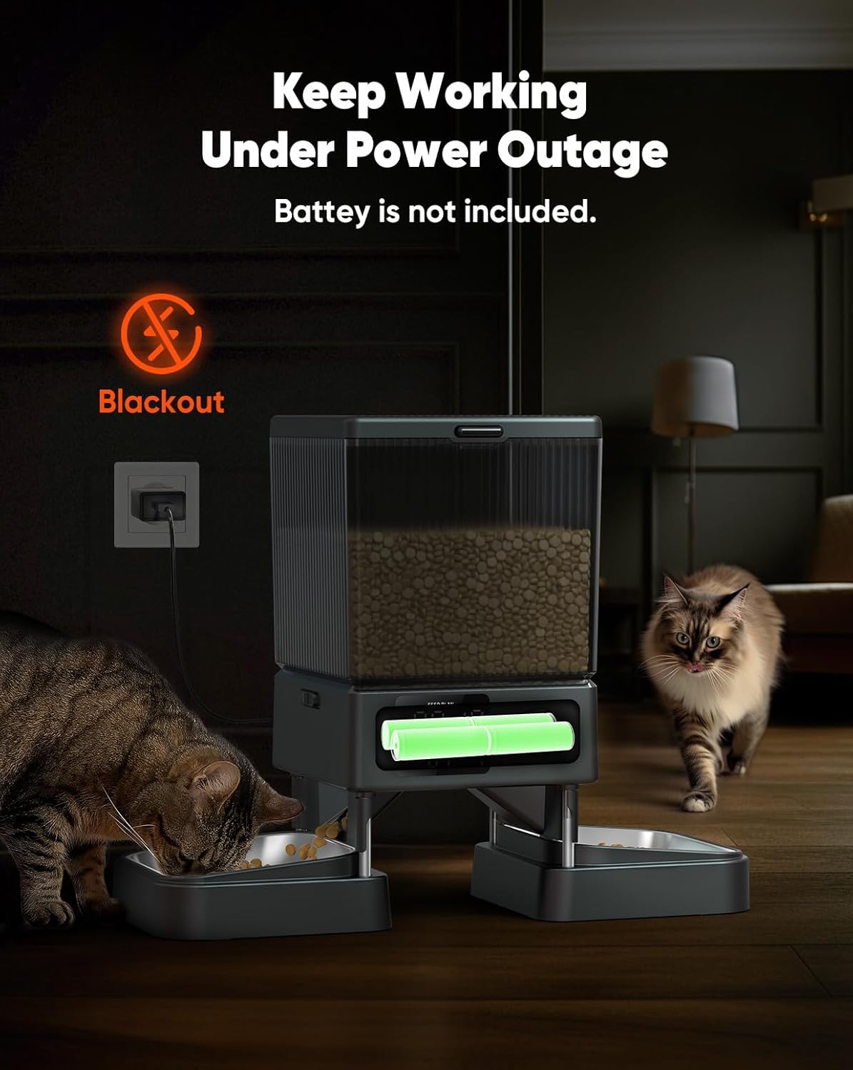 Distributeur Croquettes Chat 5L