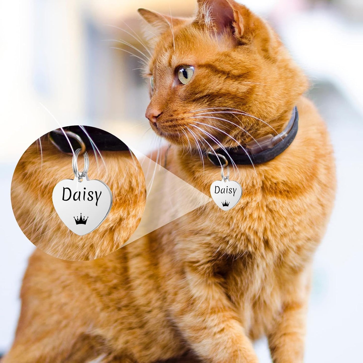 Collier Chat Médaille Personnalisable