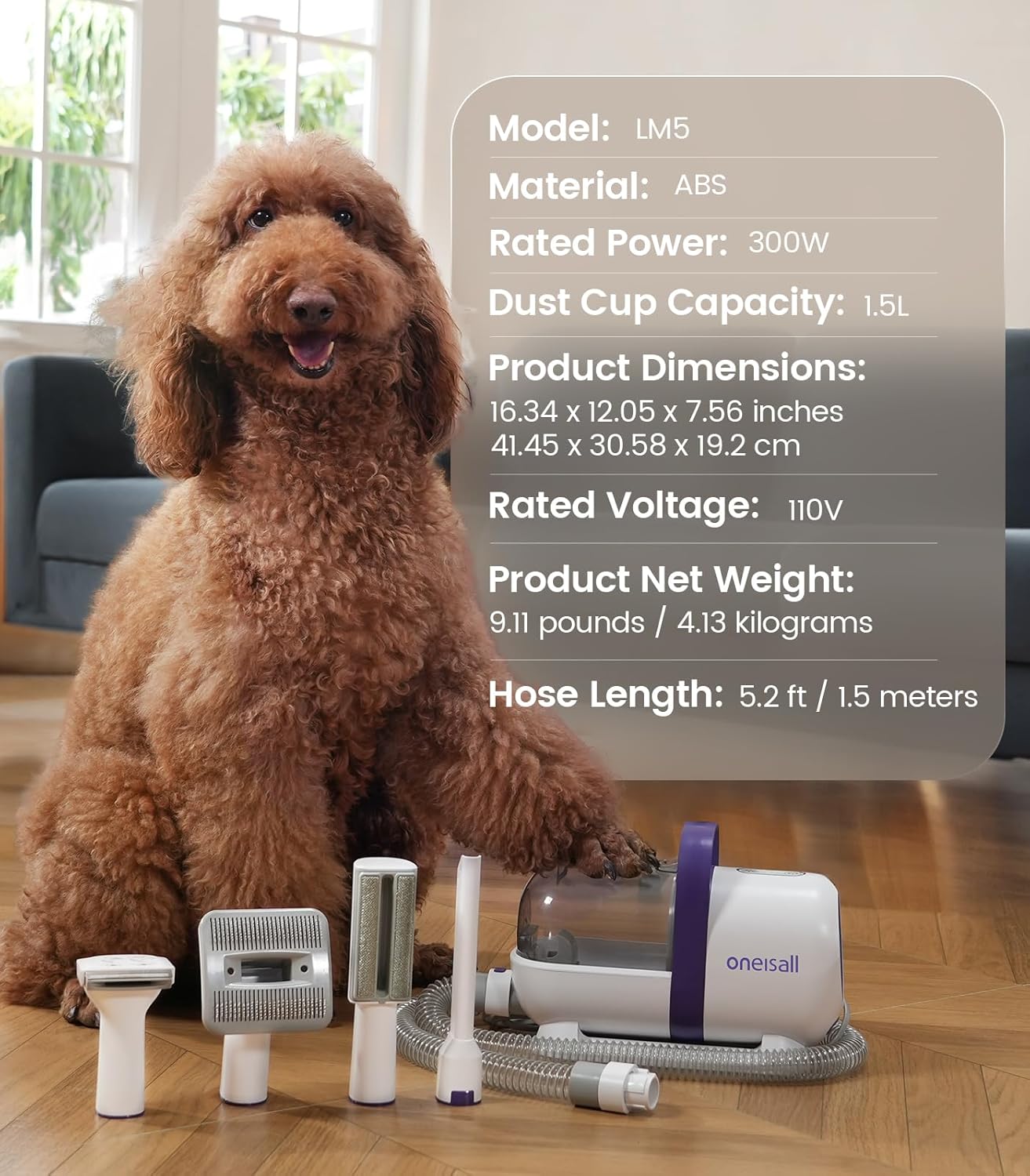 Toilettage chat Tondeuse Aspirateur