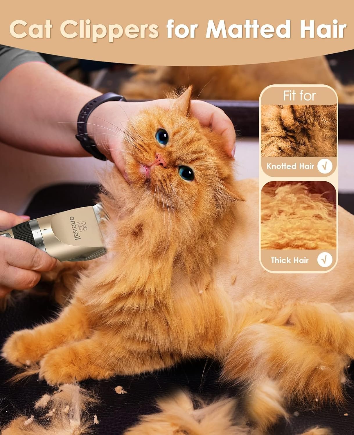 Toilettage chat Tondeuse