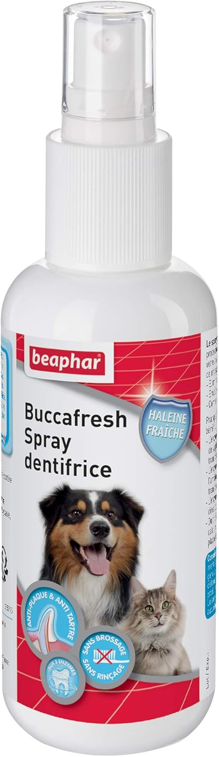 Brosse à pour dents Spray Dentifrice