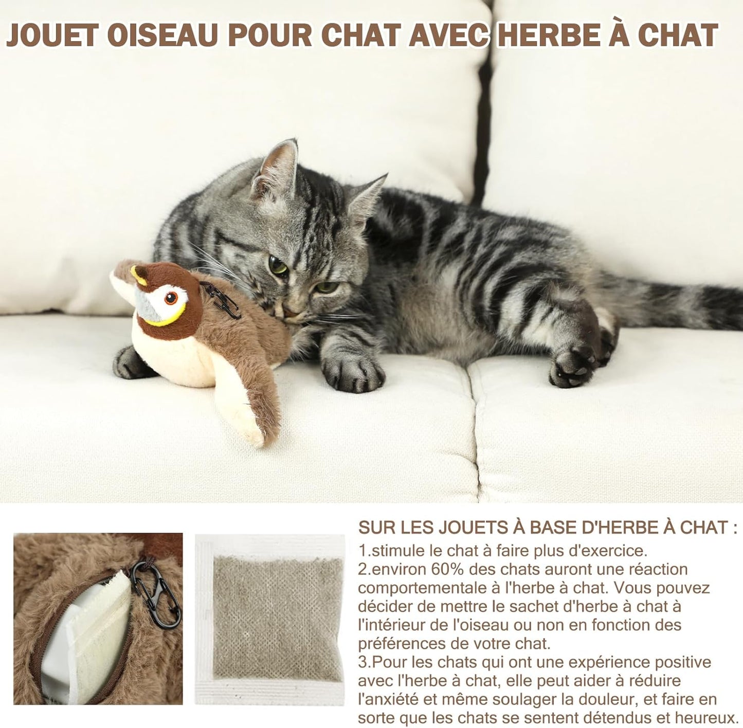 Jouet pour Chat interactif Oiseau