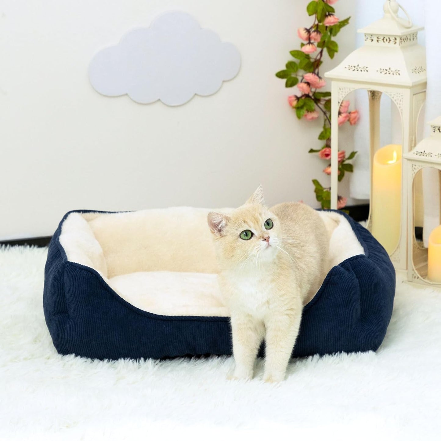 Panier Chat Coussin 55 * 45 * 15cm