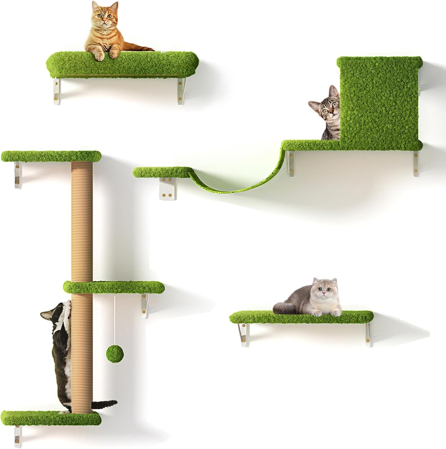 Arbre à chat Mural 4en1