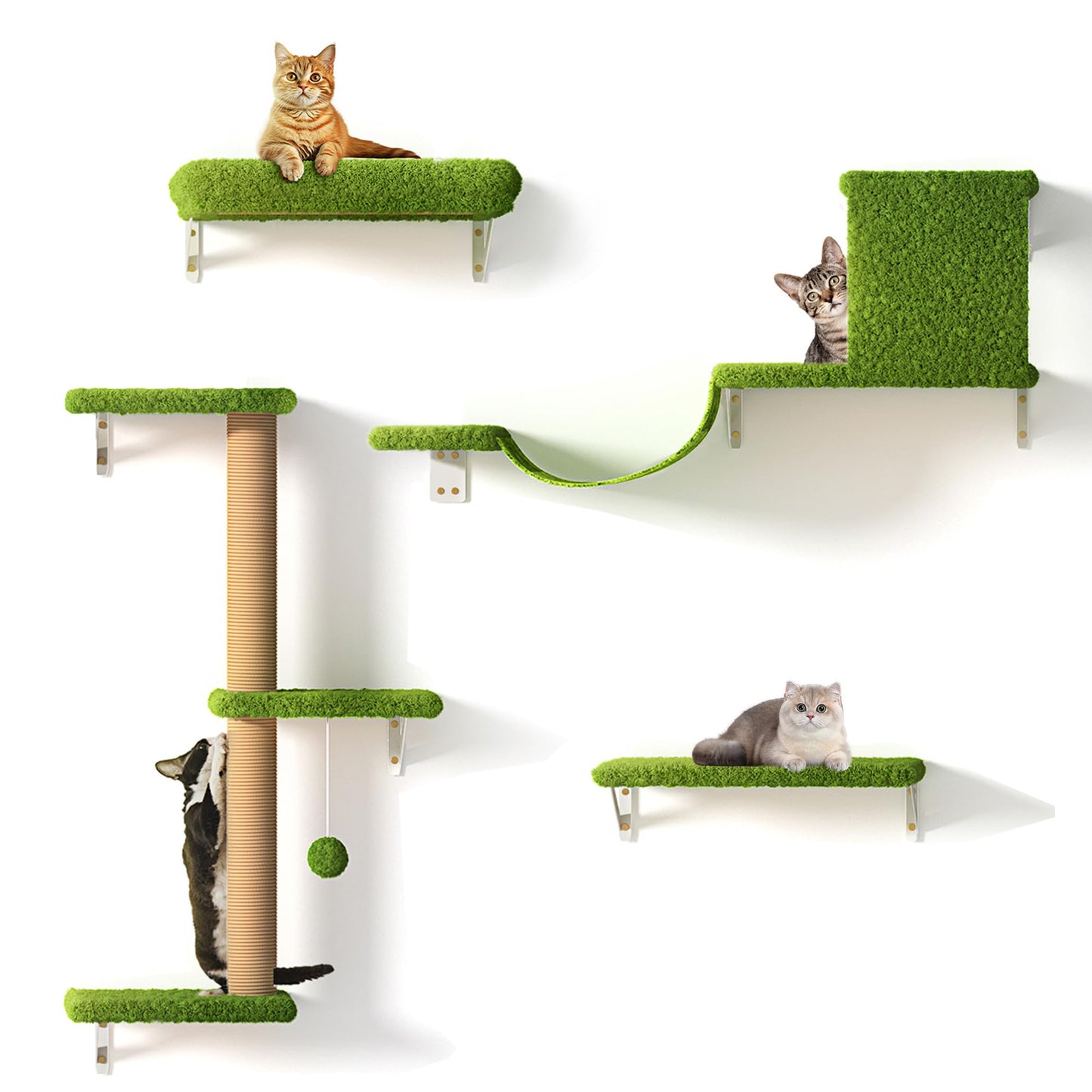 Arbre à chat Mural 4en1