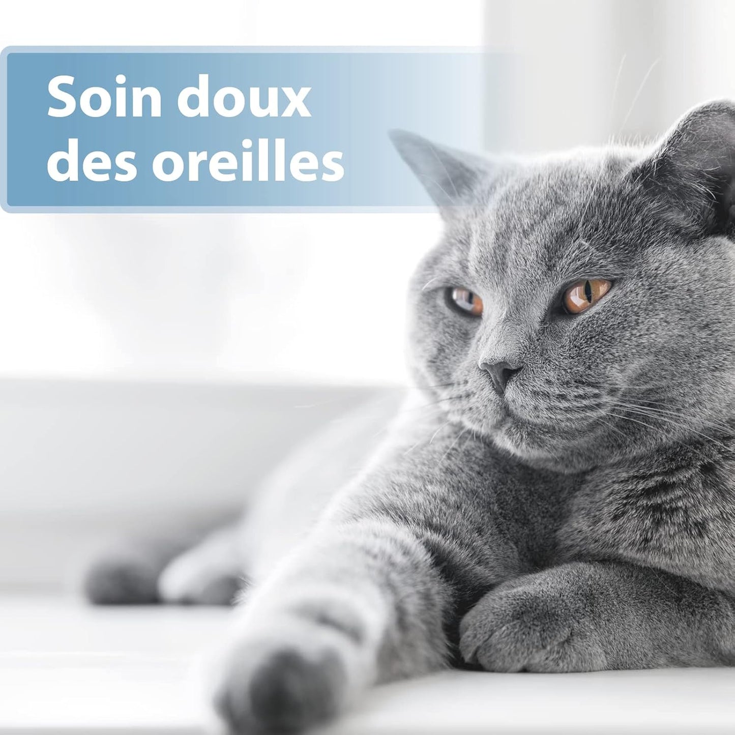 Lingette pour Chat Doigtiers De Soin Auriculaire 50 pcs