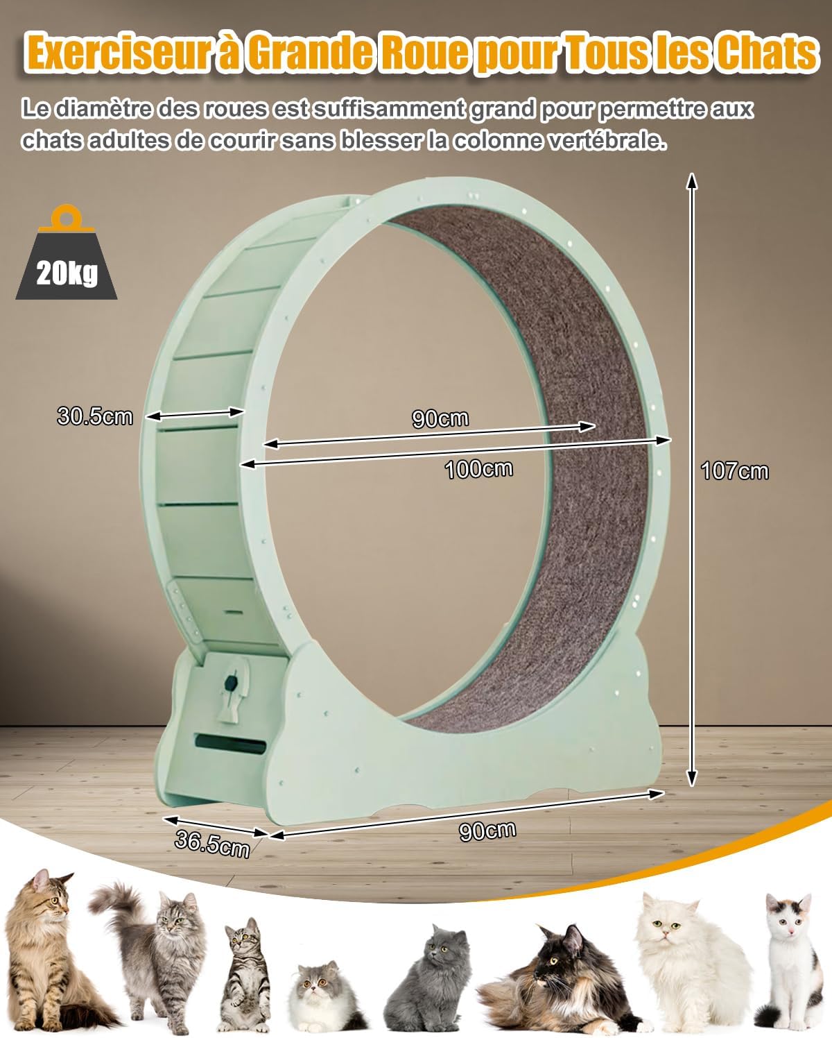 Roue pour Chat 100cm