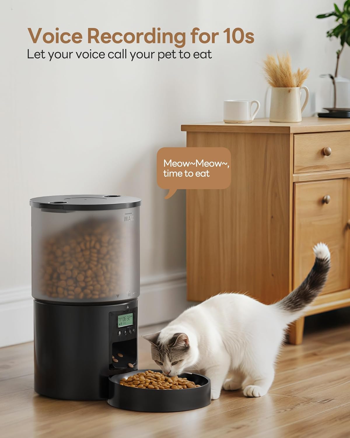 Distributeur Croquettes Chat 4L