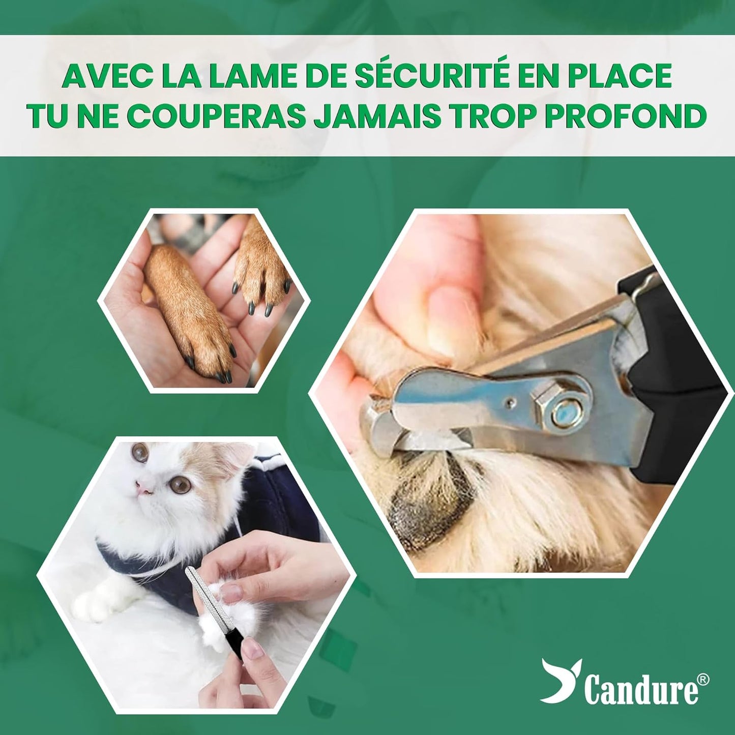 Coupe Griffes Chat + Lime