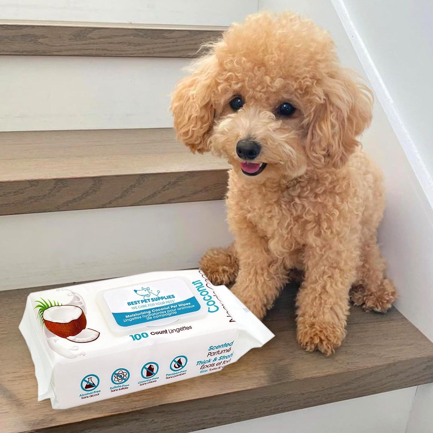 Lingettes pour Chat Hydratant Noix de coco