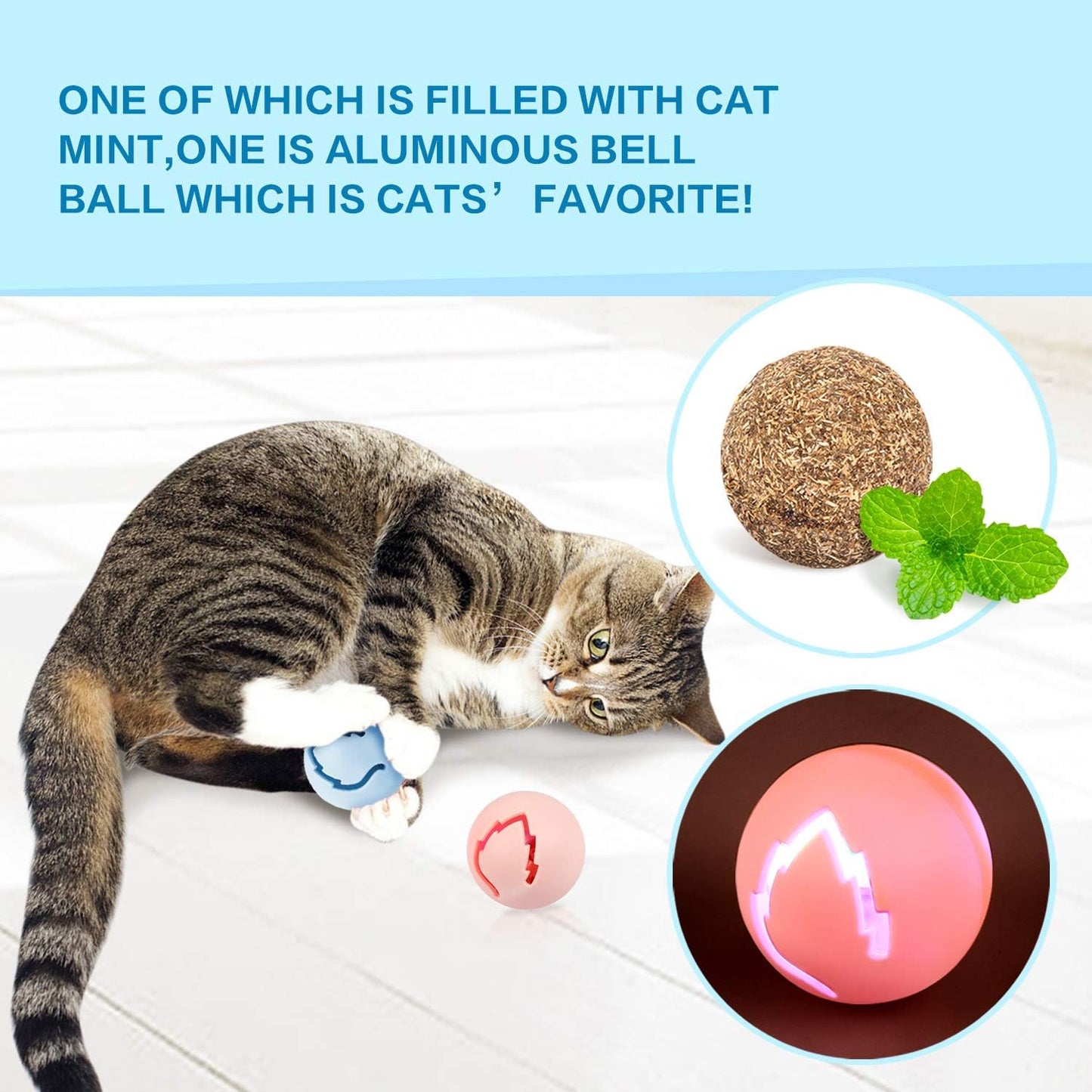Jouet pour Chat 2 en 1