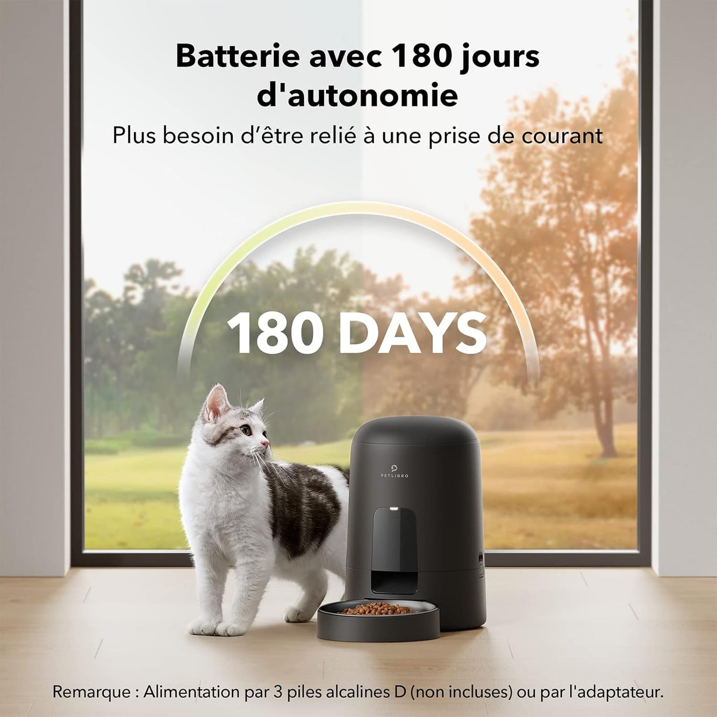 Distributeur Croquettes Chat 1-6 Repas