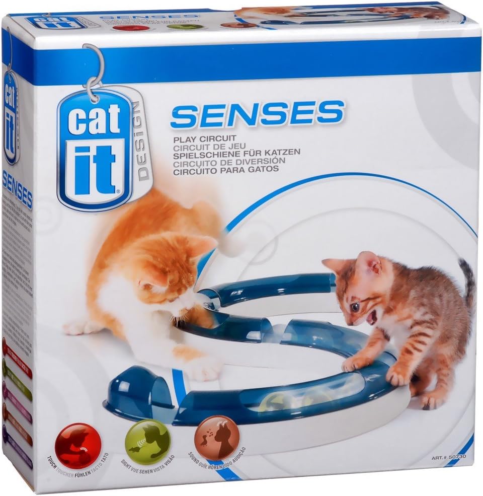 Jouet pour Chat rail de jeu