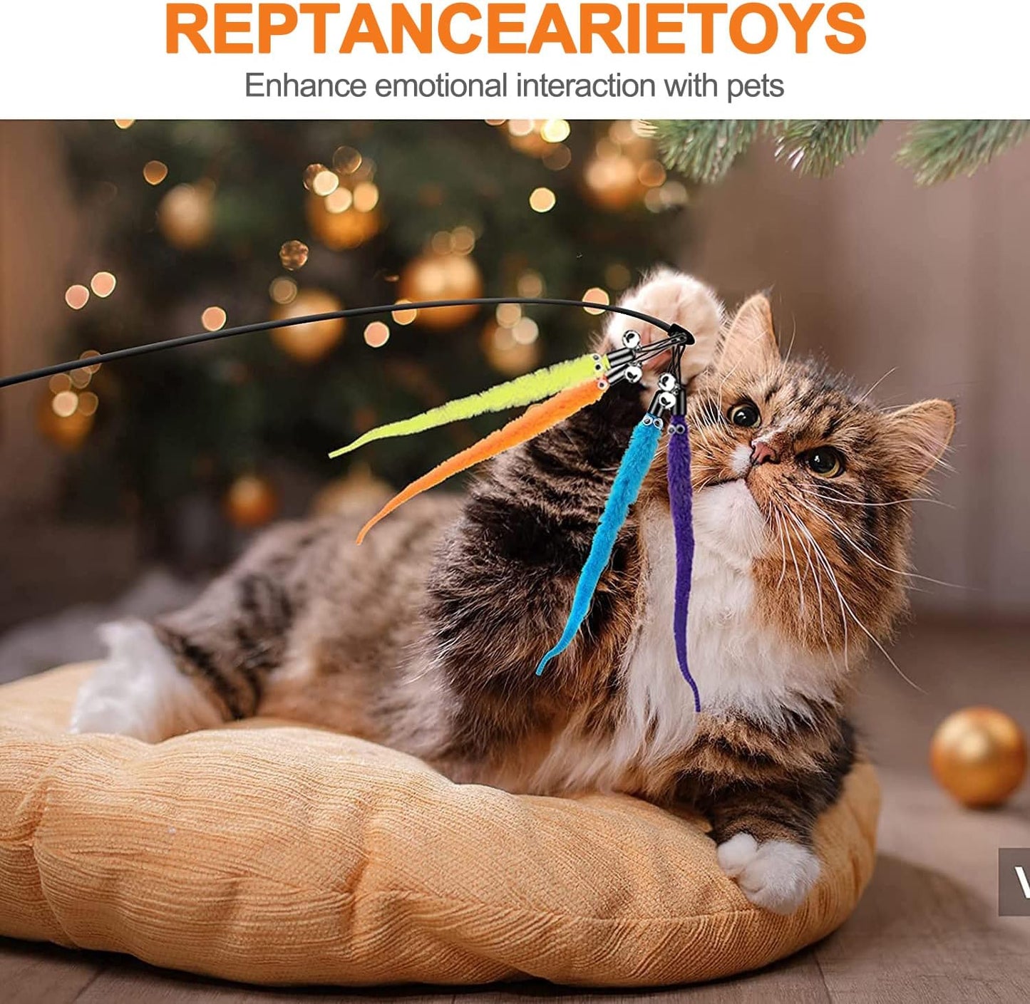 Jouet pour Chat 13 PCS
