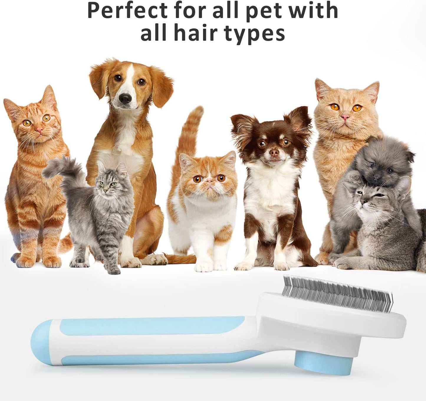 Brosse pour Chat