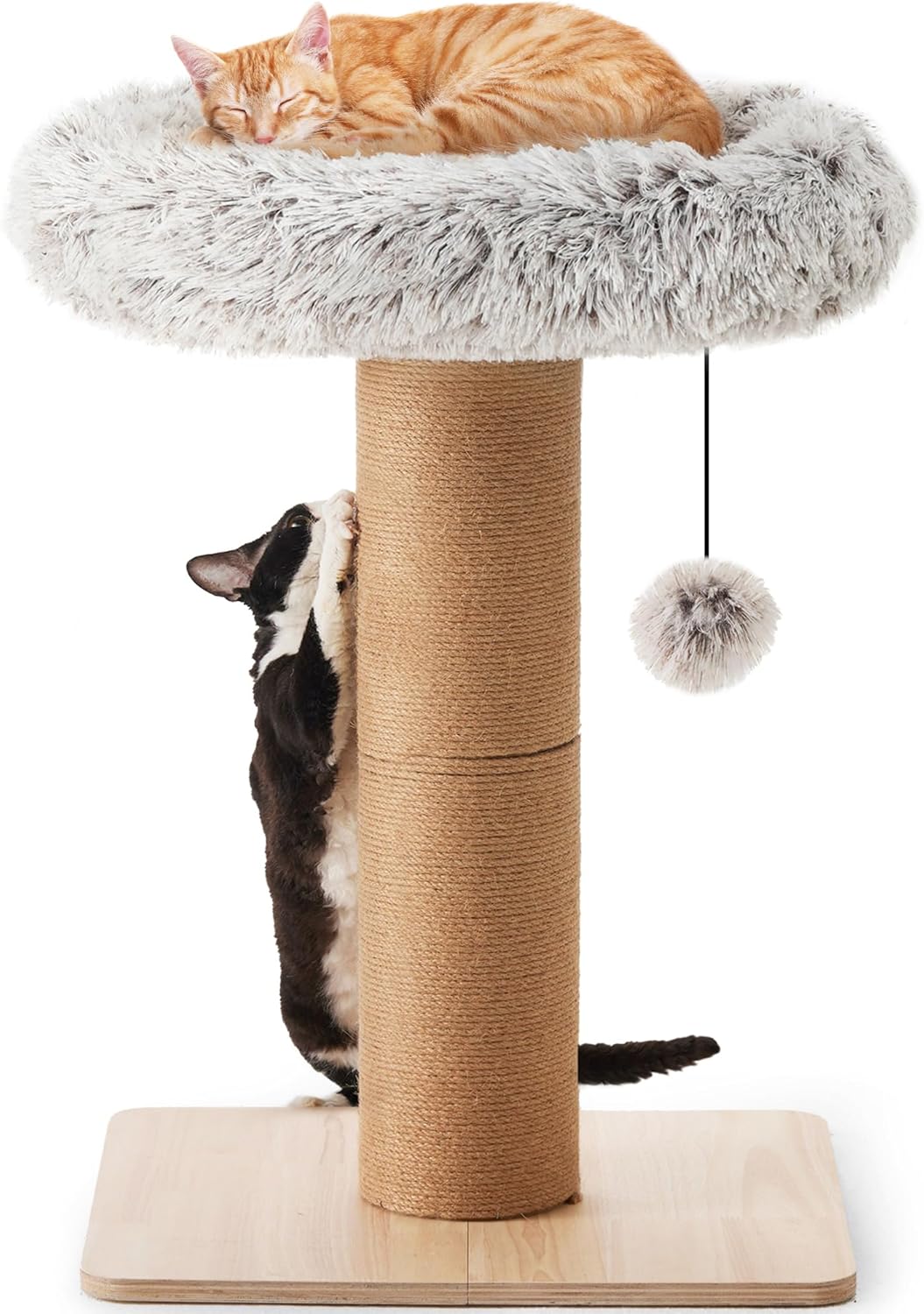 Arbre à chat avec lit