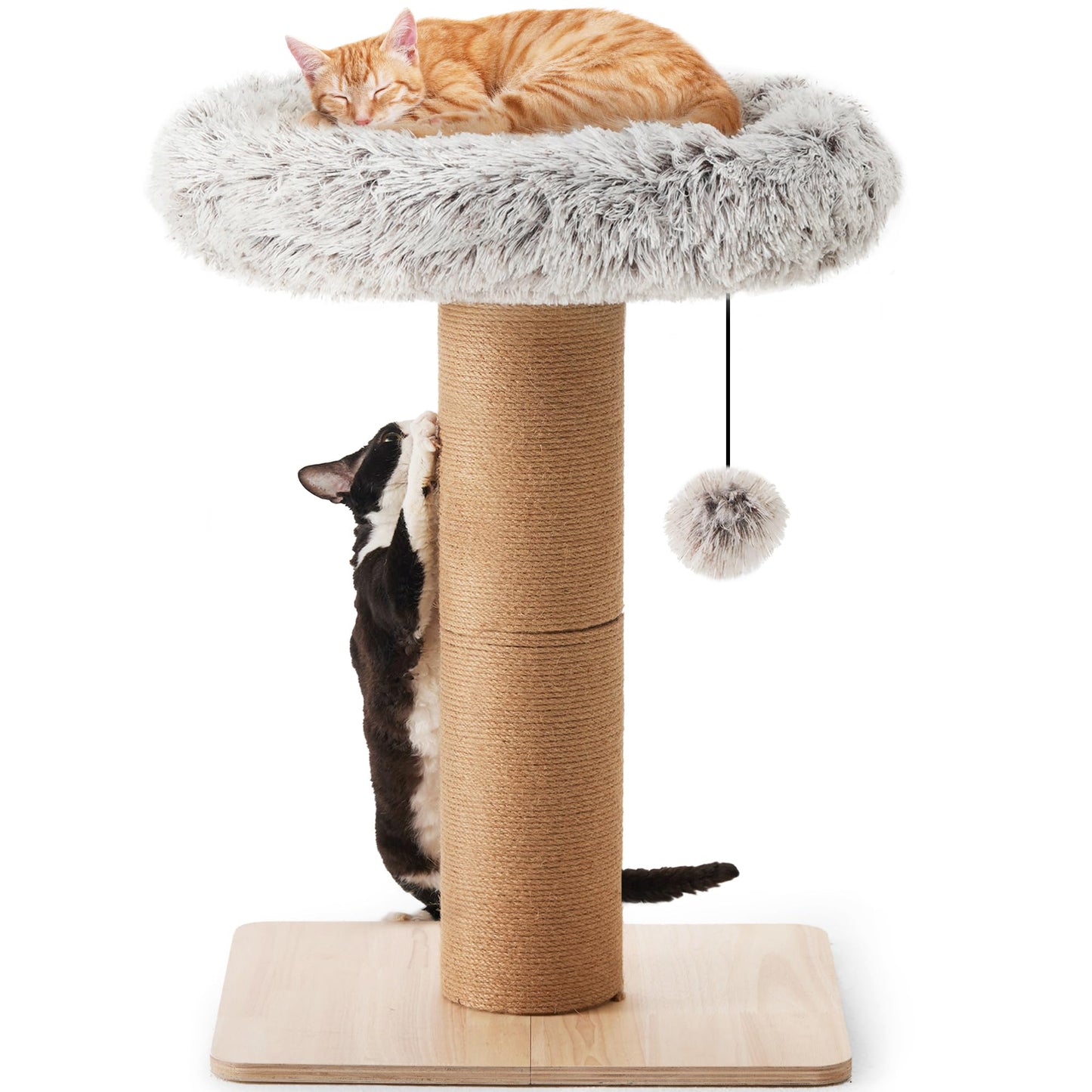 Arbre à chat avec lit