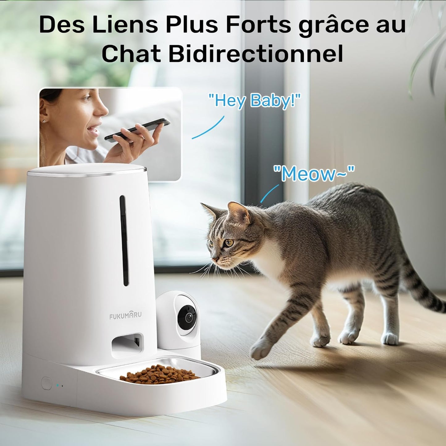 Distributeur Croquettes Chat 3L