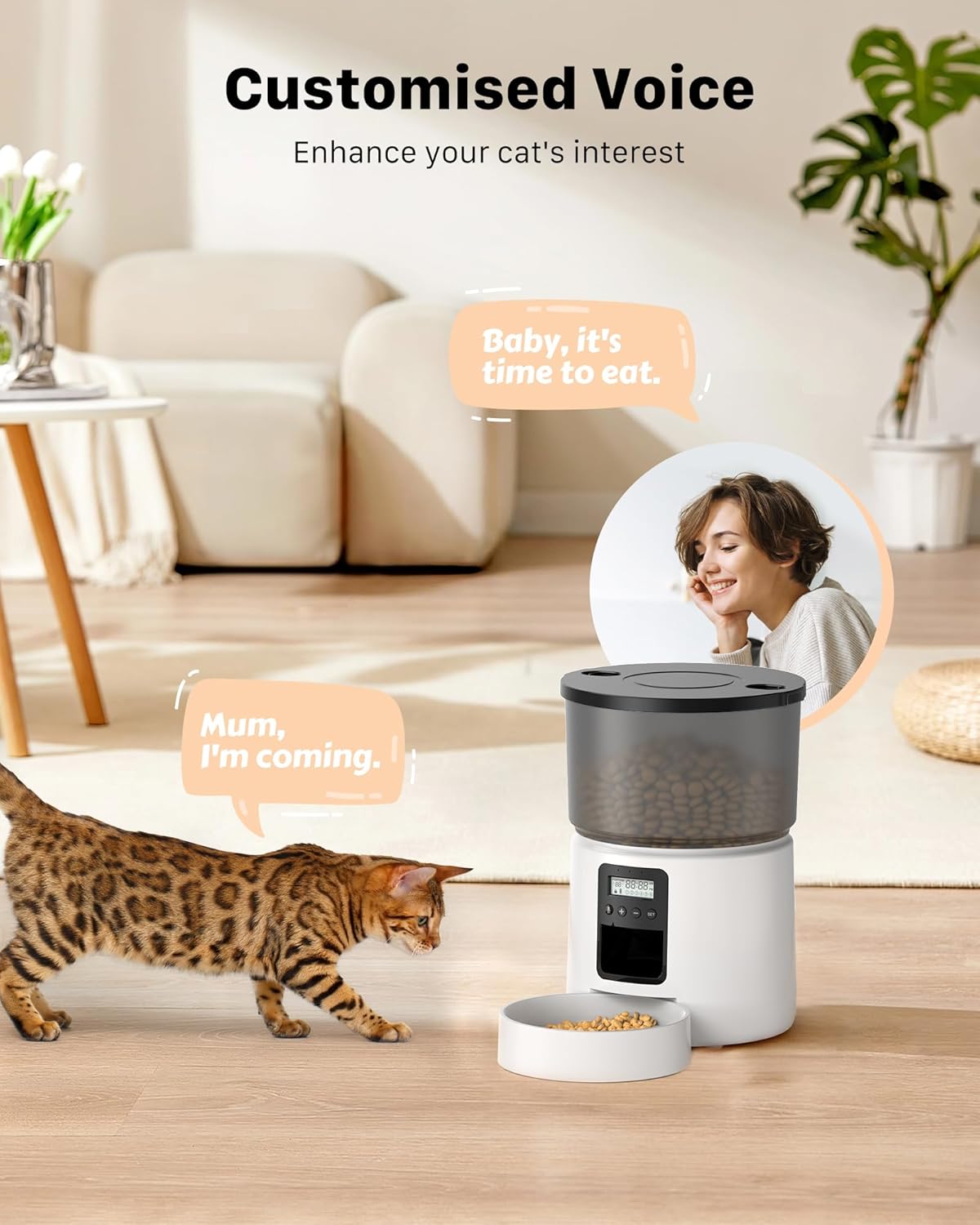 Distributeur Croquettes Chat 3L