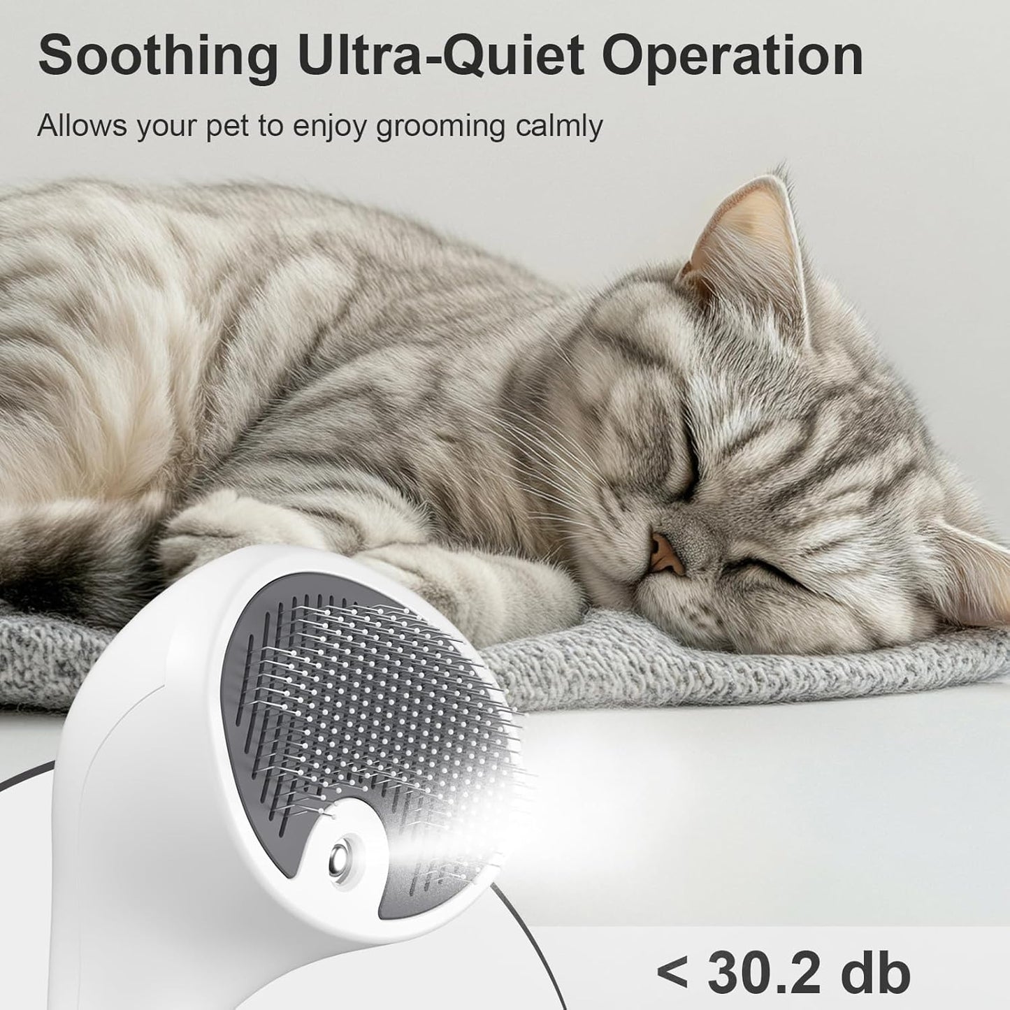Brosse Chat Vapeur