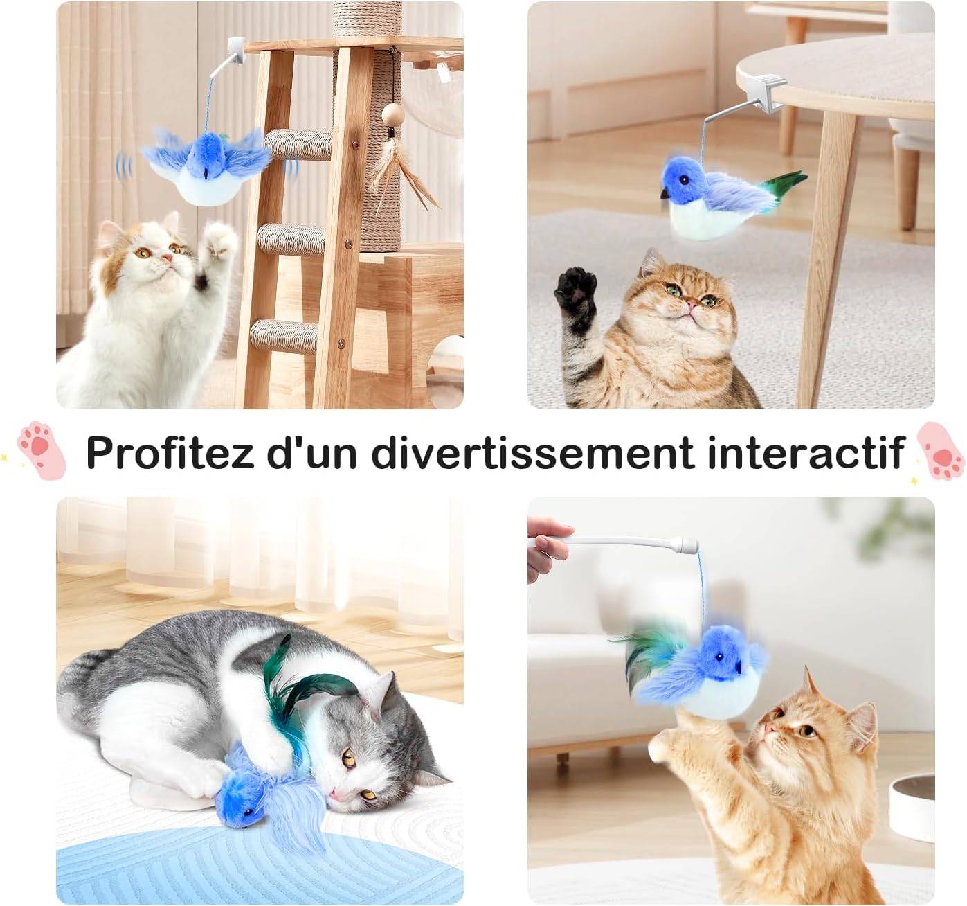 Jouet pour Chat Oiseau avec Herbe à Chat