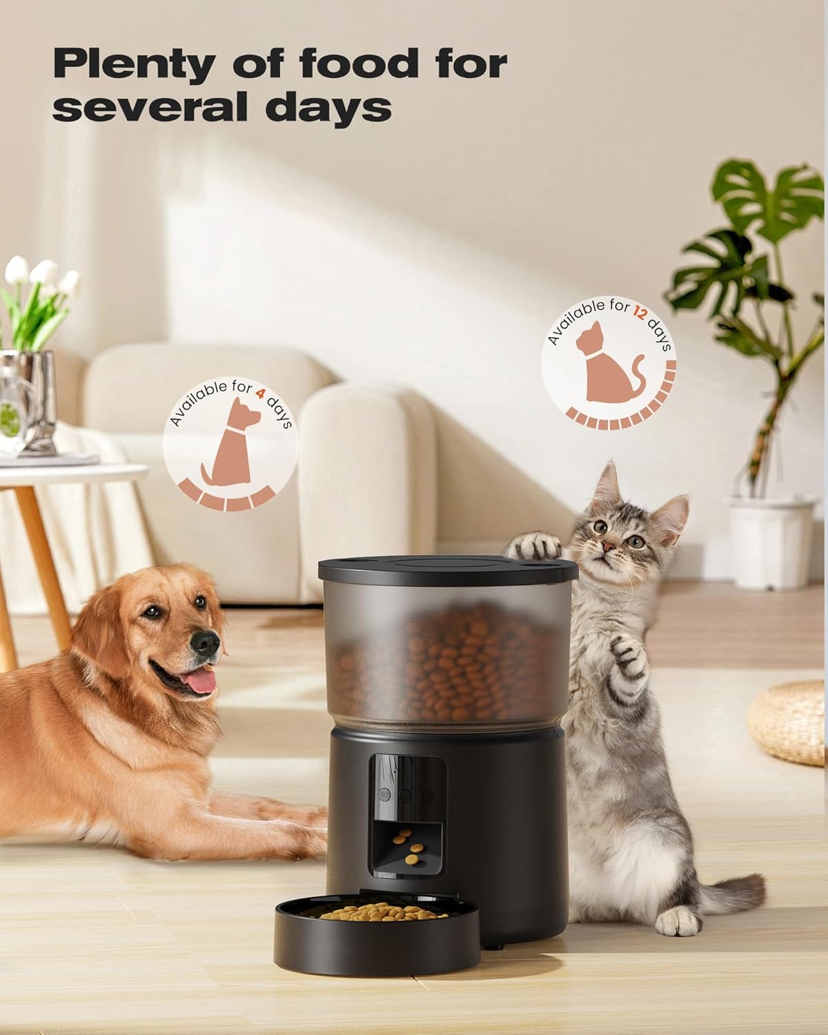 Distributeur Croquettes Chat 3L
