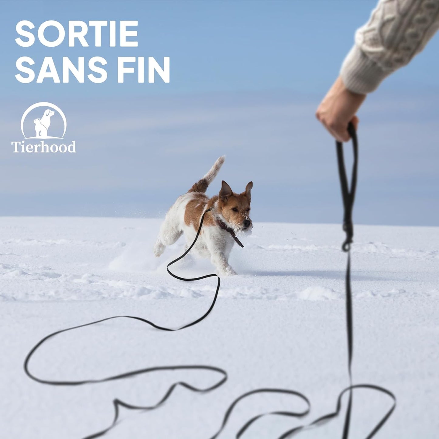 Laisse pour Chat 10m