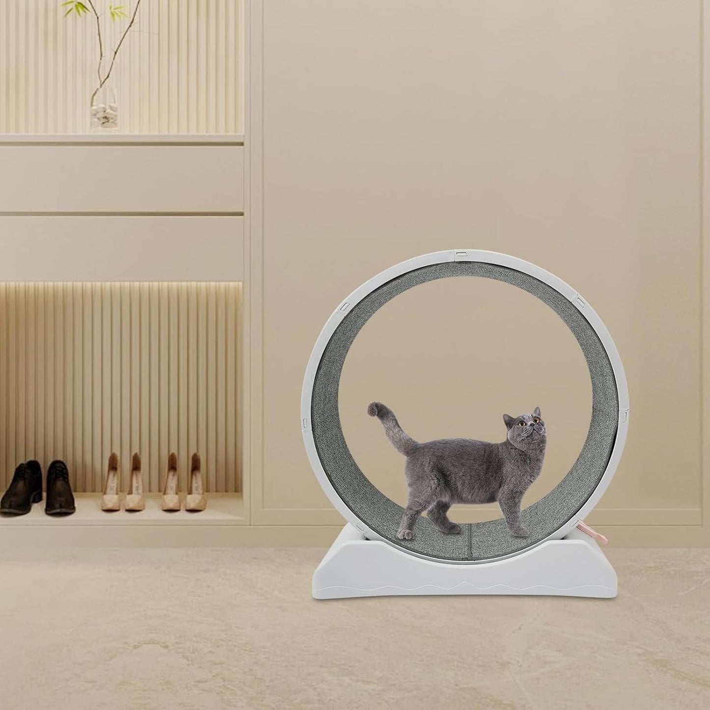Roue pour Chat avec système de blocage