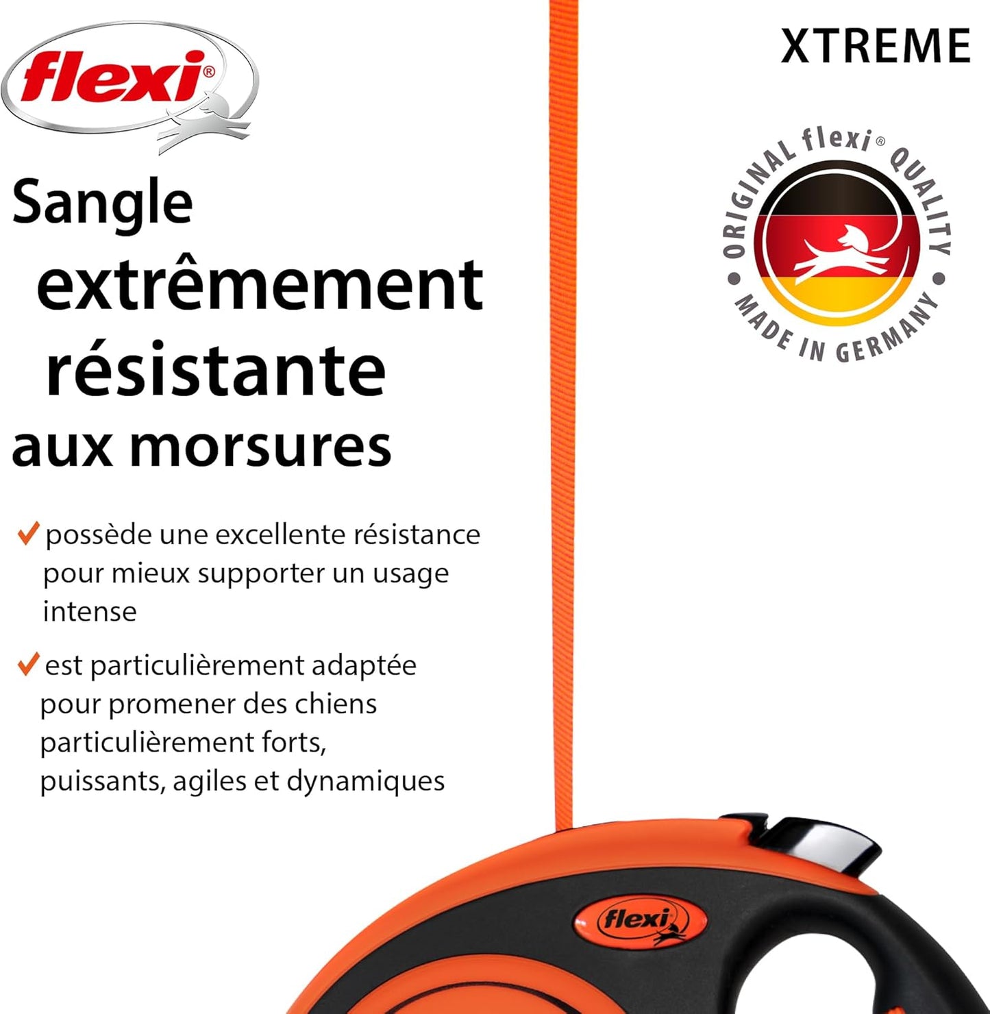 Laisse pour Chat 5m
