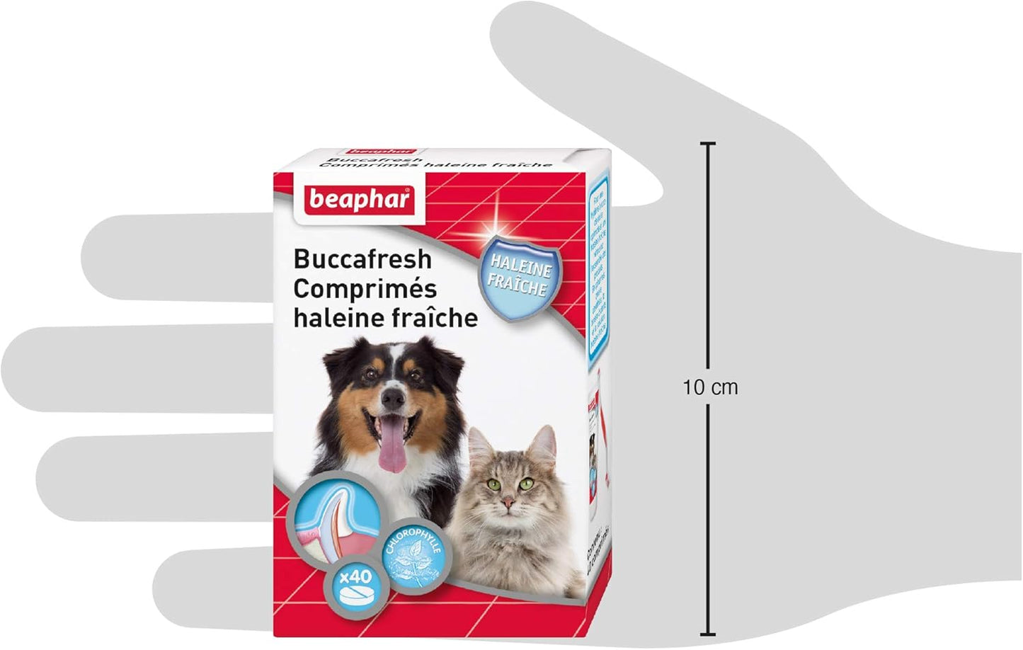 Brosse à pour dents Comprimés haleine fraîche