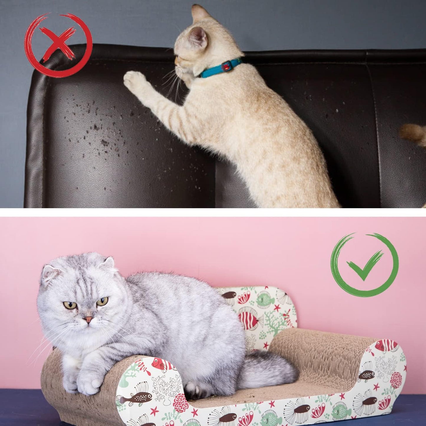Griffoir Chat Zone de Repos